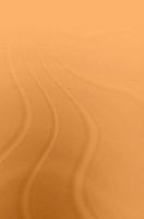 The Establishment of the Japanese Constitutional System (Nissan Institute/Routledge Japanese Studies) 0415134757 Book Cover