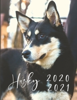 2020-2021 2 Year Planner Husky Dog Monthly Calendar Goals Agenda Schedule Organizer: 24 Months Calendar; Appointment Diary Journal With Address Book, Password Log, Notes, Julian Dates & Inspirational  1694687783 Book Cover