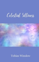 Celestial Silliness 1805679538 Book Cover