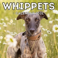 Whippets Calendar 2021: 16-Month Calendar, Cute Gift Idea For Whippet Lovers Women & Men B096LPRW91 Book Cover
