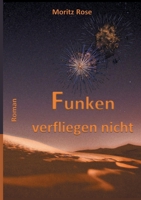 Funken verfliegen nicht: Vom Glück, das sein könnte 334722132X Book Cover