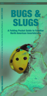 Bugs & Slugs: A Folding Pocket Guide to Familiar North American Invertebrates 1620052865 Book Cover