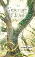 THE VISIONARY GLEAM B0D7NR7SC5 Book Cover