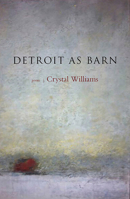 Detroit As Barn 0991146506 Book Cover
