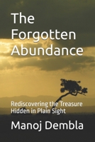 The Forgotten Abundance: Rediscovering the Treasure Hidden in Plain Sight B0FBGRN1F7 Book Cover