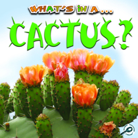 What's in a Cactus? 1615905219 Book Cover