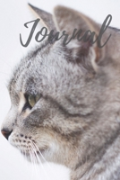 Journal, Cats Kittens Kitty, Diary for Thoughts, Ideas, and Dreams, 6x9 1671373499 Book Cover