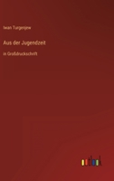 Aus der Jugendzeit: in Großdruckschrift 336829508X Book Cover