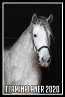 Terminplaner 2020: Jahresplaner von September 2019 bis Dezember 2020 mit Pferd - Planer mit 174 Seiten in wei� im Format A5 mit gl�nzendem Soft Cover. 1704009634 Book Cover