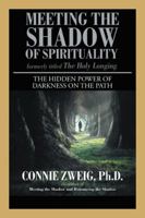Meeting the Shadow of Spirituality: The Hidden Power of Darkness on the Path 1532015402 Book Cover