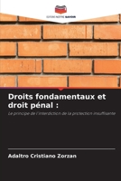Droits fondamentaux et droit pénal :: Le principe de l'interdiction de la protection insuffisante B0CHLC8F1K Book Cover