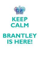 KEEP CALM, BRANTLEY IS HERE AFFIRMATIONS WORKBOOK Positive Affirmations Workbook Includes: Mentoring Questions, Guidance, Supporting You 139510168X Book Cover