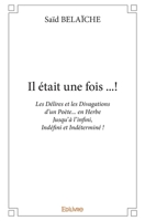 Il était une fois ...! (French Edition) 241433195X Book Cover