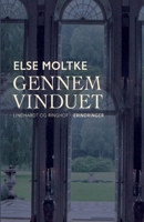 Gennem vinduet null Book Cover