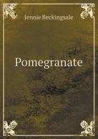 Pomegranate: The Story of a Chinese Schoolgirl 1176372548 Book Cover