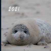 2021: Monthly Photo Calendar - January 2021 - December 2021 - Monthly Calendar with U.S./UK/ Canadian/Christian/Jewish/Muslim Holidays - Cute Sea Lion Photo Calendar B08H58593L Book Cover