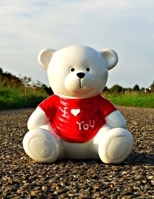 Teddy Bear Health Journal Planner One Year Log Book: (cqs.0425) 1070980285 Book Cover