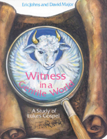 Witness in a Gentile World: A Study of Luke's Gospel 071882802X Book Cover