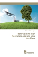 Beurteilung der Restlebensdauer von Kanälen 3838152107 Book Cover