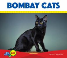 Bombay Cats 1532111967 Book Cover