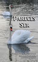 PARECES SER: 70 Cuentos y Reflexiones sobre el Vedanta 1793185794 Book Cover