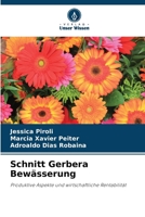 Schnitt Gerbera Bewässerung: Produktive Aspekte und wirtschaftliche Rentabilität (German Edition) 6207638727 Book Cover