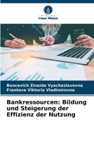 Bankressourcen: Bildung und Steigerung der Effizienz der Nutzung 6209791042 Book Cover