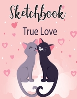 Sketchbook: Practice Draw Workbook, Large Blank Pages For Sketching, Classroom Edition Sketchbook For Kids, Journal And Sketch Pad For Drawing Cute Cat Sketchbook (Cat Valentines Sketchbook) 1675882002 Book Cover