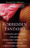 Forbidden Fantasies 1416578692 Book Cover