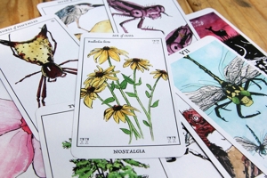 Rust Belt Arcana (Tarot Deck) 1953368875 Book Cover