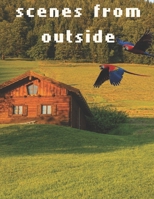 scenes from outside: country cabins coloring book for adult,exquisite artistic drawings of cabins and Rio parrots, 60 carefully and professionally elaborate drawings,for Stress Relief&Relaxation B08PJDRWGV Book Cover