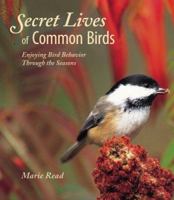 Secret Lives of Common Birds: Enjoying Bird Behavior Through the Seasons 0618558721 Book Cover