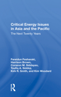 Critical Energy Issues in Asia and the Pacific: The Next Twenty Years 0367018977 Book Cover