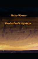 Predestined Labyrinth B097SPGNHG Book Cover