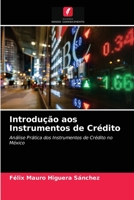 Introdução aos Instrumentos de Crédito: Análise Prática dos Instrumentos de Crédito no México 6203539686 Book Cover