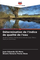 Détermination de l'indice de qualité de l'eau 620583085X Book Cover