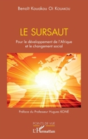 Le sursaut: Pour le développement de l'Afrique et le changement social (Points de Vue) 2343251509 Book Cover