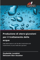 Produzione di etero-giunzioni per il trattamento delle acque (Italian Edition) 6209444628 Book Cover