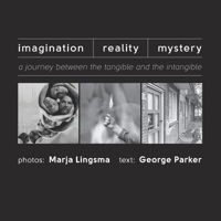 Imagination-Reality-Mystery: a journey between the tangible and the intangible 9081948148 Book Cover