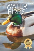 Picture Book of Graceful Water Birds: A Peaceful Collection of Real Bird Photography for Seniors Living with Memory Loss, Alzheimer’s, or Dementia (Birds Coffee Table Books) B0FXTWG6PG Book Cover