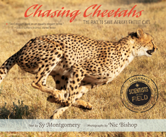 Chasing Cheetahs: The Race to Save Africa's Fastest Cat 0547815492 Book Cover
