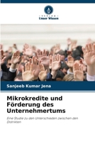 Mikrokredite und Förderung des Unternehmertums (German Edition) 6209579485 Book Cover