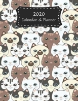 2020 Calendar & Planner: Cats Premium 2020 Calendar For Animal Lovers Everywhere Academic Planner & Scheduler 1708076921 Book Cover