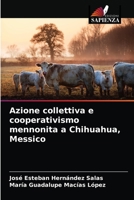 Azione collettiva e cooperativismo mennonita a Chihuahua, Messico 6203538744 Book Cover