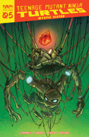 Teenage Mutant Ninja Turtles: Reborn, Volume 5 – Mystic Sister 168405916X Book Cover