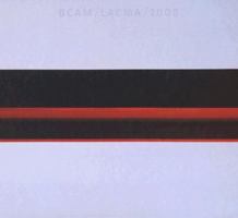 BCAM/LACMA/2008 0875871976 Book Cover