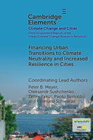 Financing Urban Transitions to Climate Neutrality and Increased Resilience in Cities (Elements in Climate Change and Cities) 1009589156 Book Cover