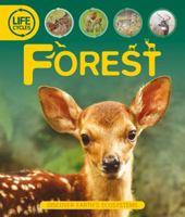 Life Cycles: Forest 075347431X Book Cover