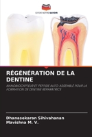 Régénération de la Dentine (French Edition) 6208881587 Book Cover