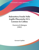 Balenottera Fossile Nelle Argille Plioceniche Di S. Lorenzo In Collina: Provincia Di Bologna (1862) 1160312893 Book Cover